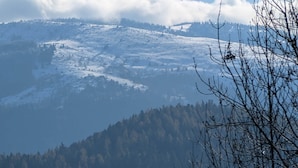 A mountainous landscape with snow-covered slopes and a forested valley. - Le Panorama with views of the Valley (Soultzeren)