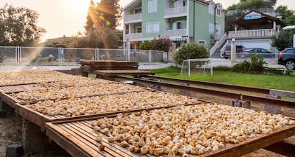 Villa Šolo Peaceful Nature Park Getaway