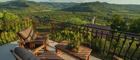 Apartment (Two Bedroom Apartment with Terrace) | Terrace/patio