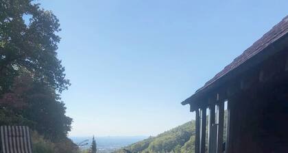 Panorama Domizil im Schwarzwald mit Terrasse & Balkon in einzigartiger Lage