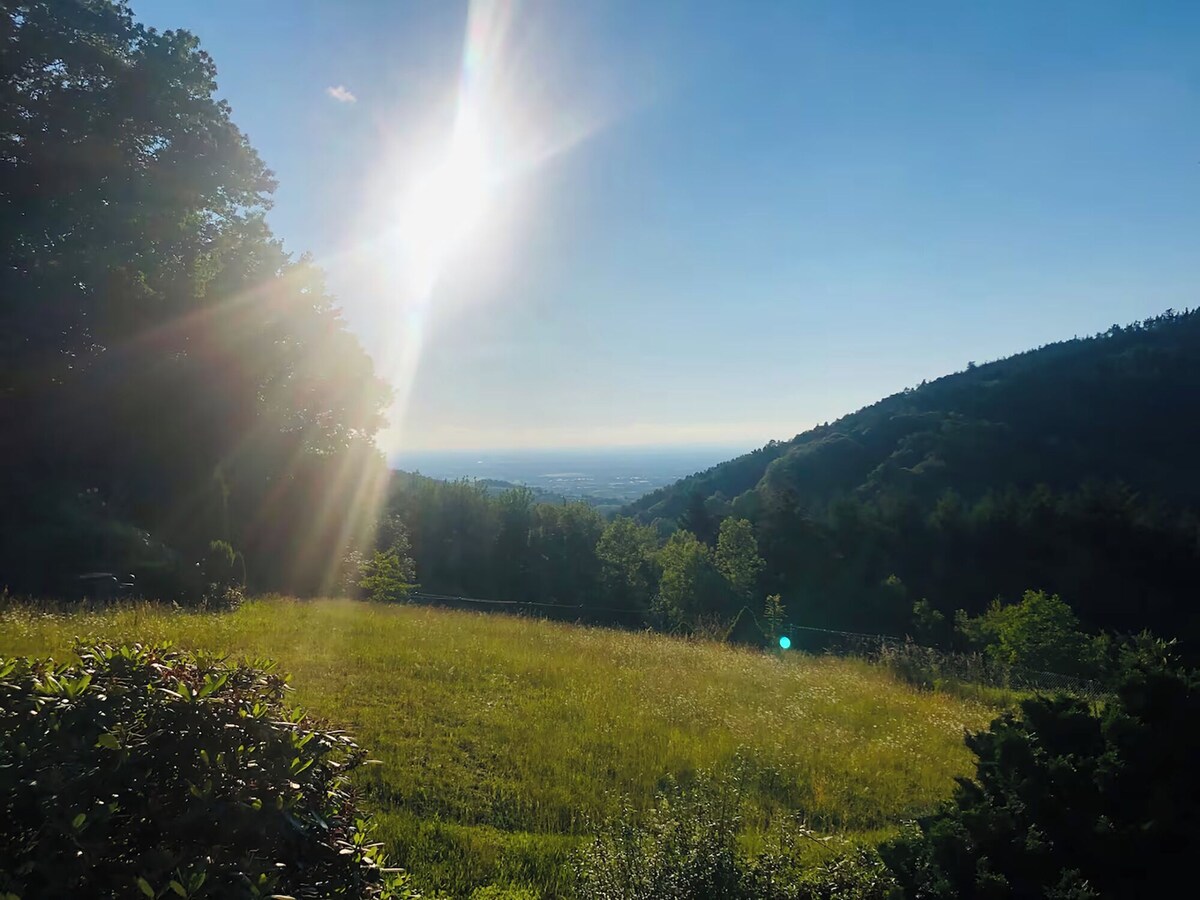 Bild für Gastgeberprofil