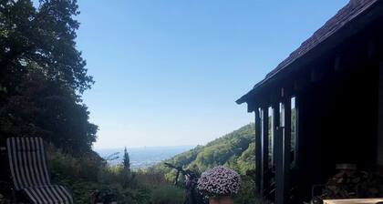 Großzügige Wohnung in einzigartiger Lage am Wald mit fantastischer Aussicht.