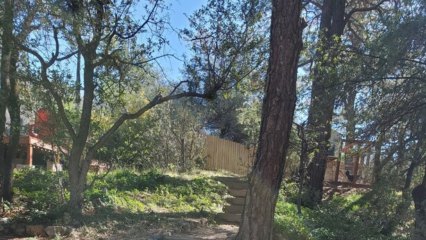 Een betonnen pad dat omhoog leidt naar een stenen trap, omgeven door bomen en begroeiing.