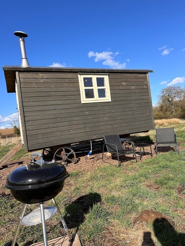 Otters Holt In Beautiful Meadow
