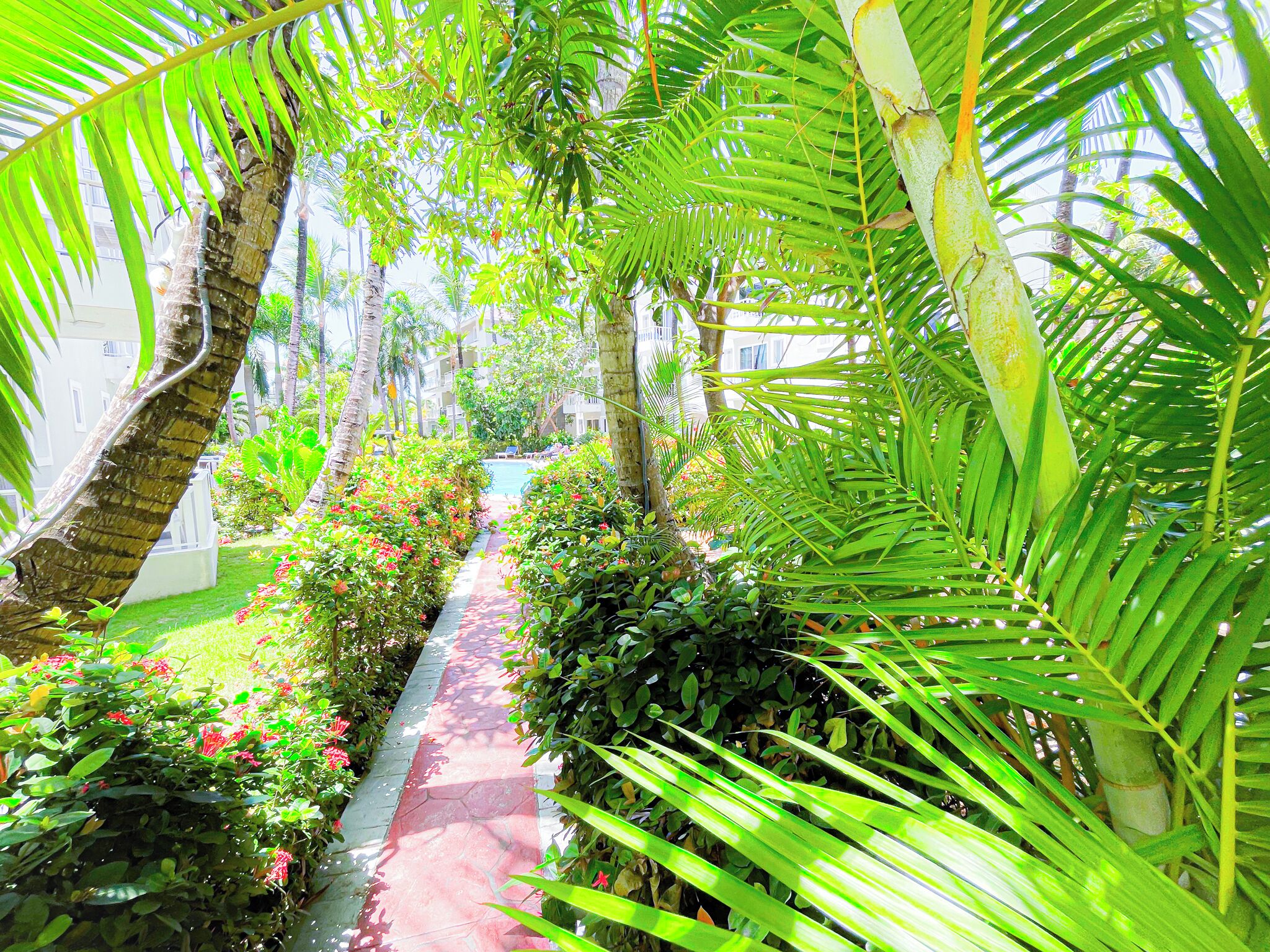 Grill- och picknickområde