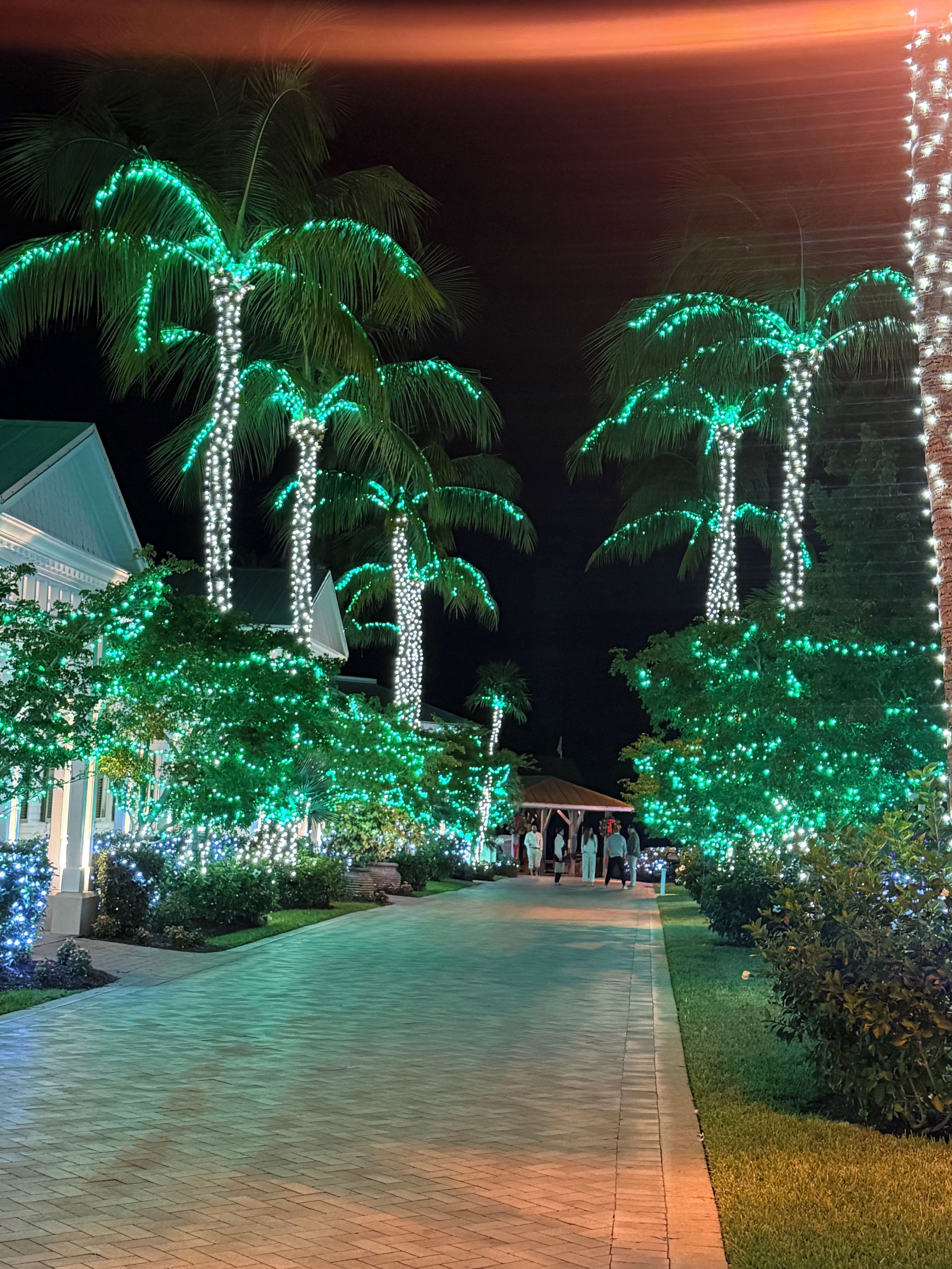 A pathway lined with palm trees adorned with green lights, leading to a building with a white facade.