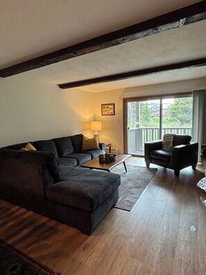 TV, fireplace - Relax by the River in Winter Park! Steps away from everything, great amenities (Winter Park)