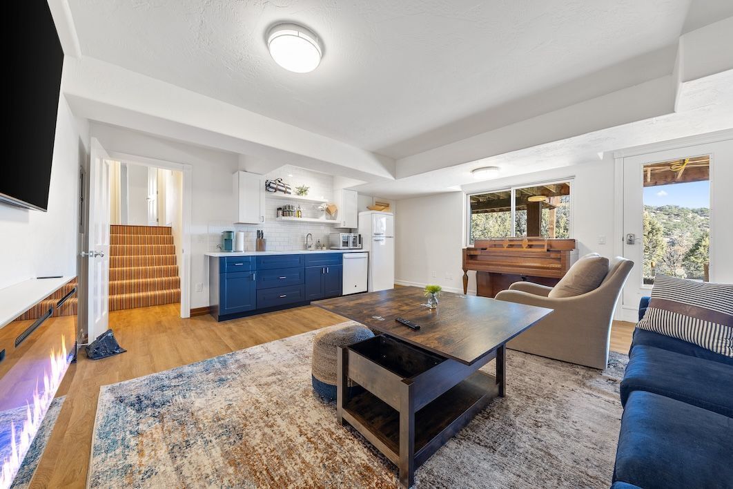 TV, fireplace, books