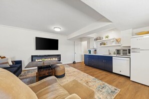 TV, fireplace, books