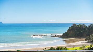 بالقرب من الشاطئ