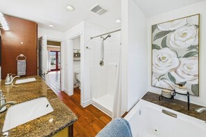 Eco-friendly toiletries, hair dryer, towels, soap - 4-bedroom house in historic Ferndale with bonus dressing room, pet friendly! (Ferndale)
