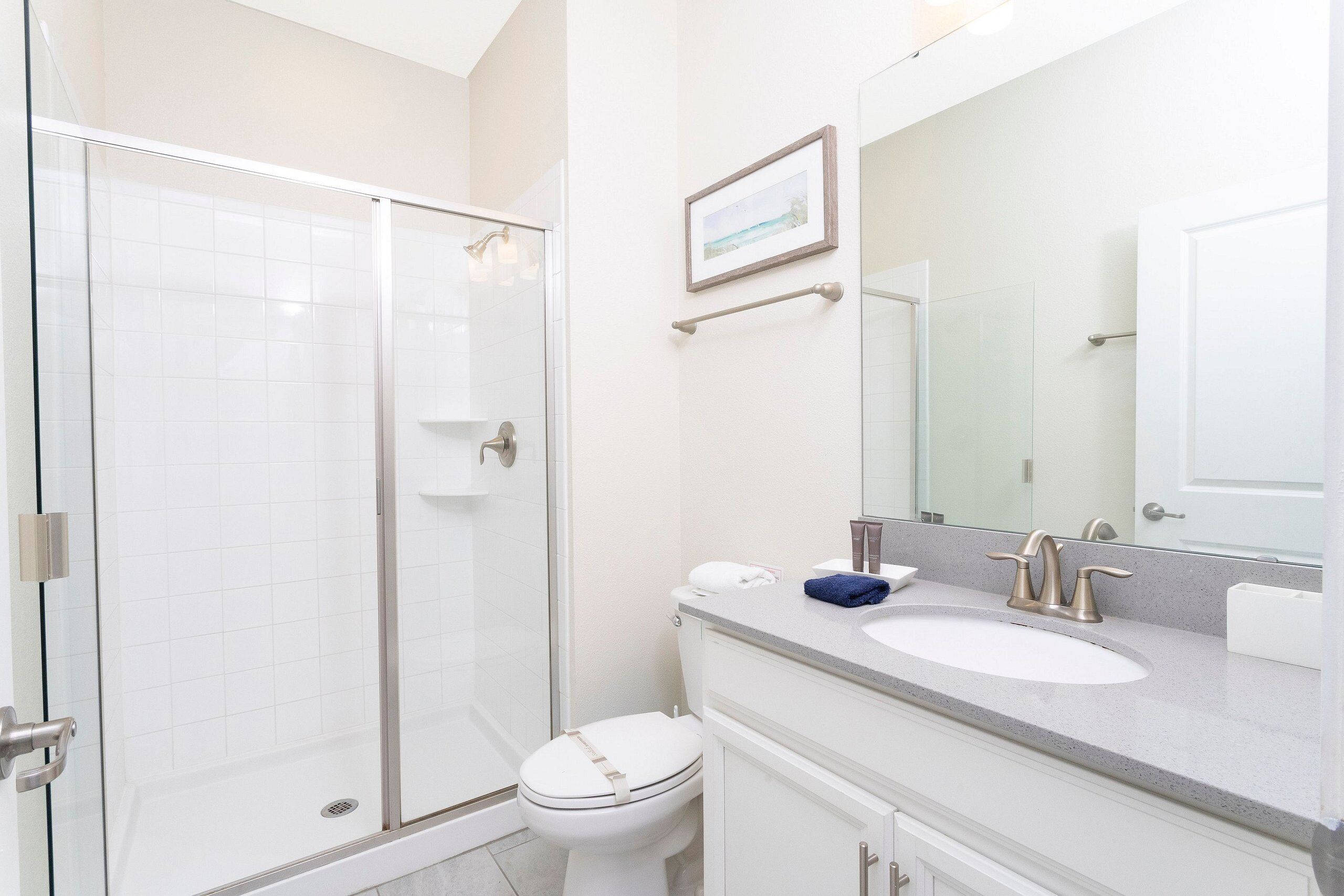 A bathroom with a glass shower enclosure, a white toilet, a sink with a mirror above it, and a framed picture on the wall.