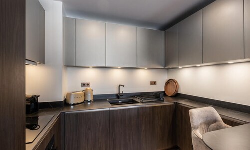 New Ski-in and Ski-out Apartment