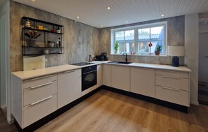 Kühlschrank, Ofen, Herdplatte, Geschirrspüler