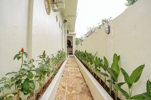 المنطقة المحيطة بالمنشأة