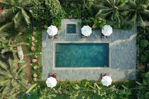 An aerial view of a rectangular swimming pool surrounded by palm trees and greenery, with four umbrellas and lounge chairs. - Nature Garden Ecolodge Ninh Binh (Hoa Lu District)