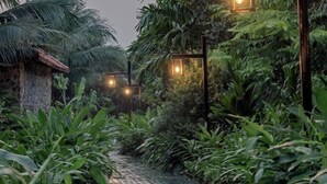 Un canal estrecho bordeado de exuberante vegetación y construcciones tradicionales con techos de paja, iluminado por faroles colgantes.