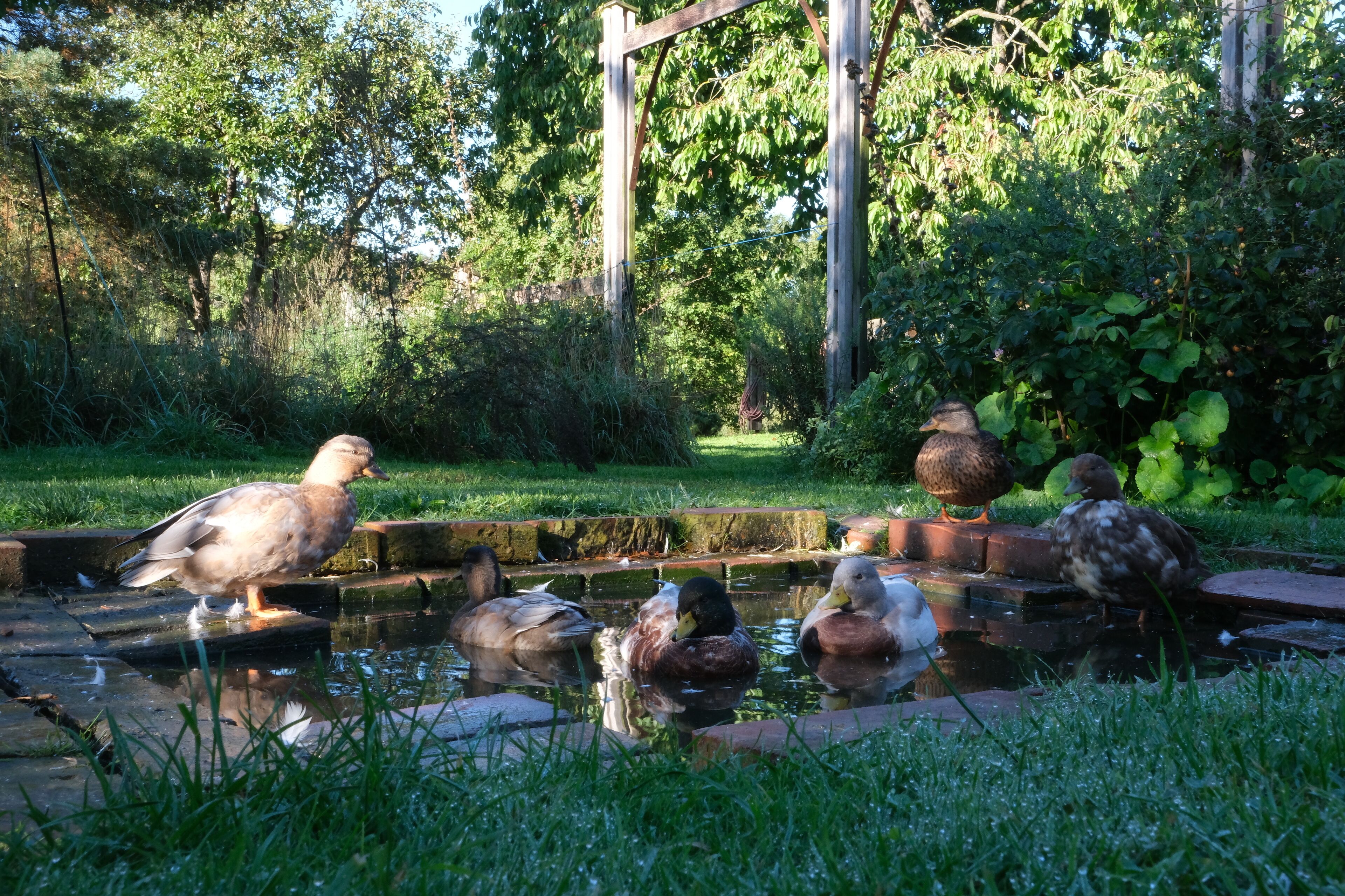 Jardines del alojamiento