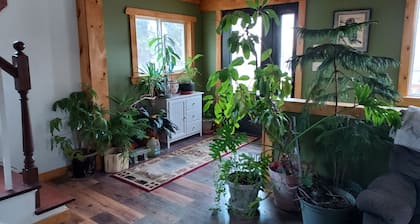 Soothing bed & breakfast with AC in Kandiyohi