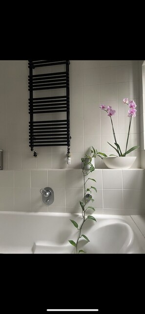 Haartrockner, Handtücher, Seife, Toilettenpapier