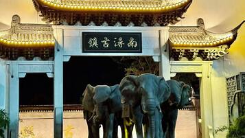 A traditional Chinese gate with a sign, flanked by two elephant statues.