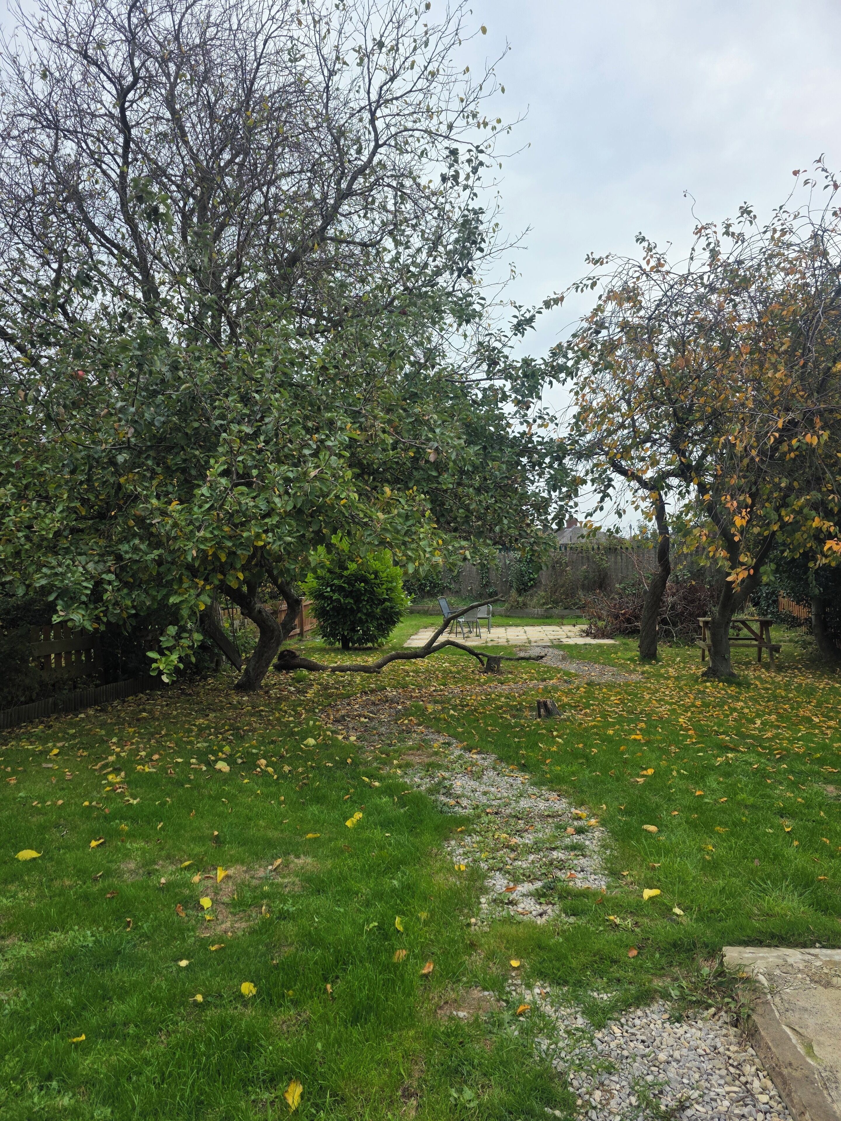 Overnattingsstedets uteområder