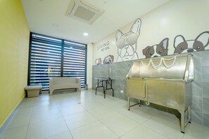 Animaux de compagnie acceptés