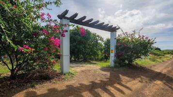 Khuôn viên nơi lưu trú