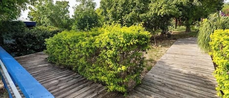 Detalle del exterior