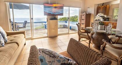 Le Sirenuse Paradise Haven in Culebra, Island