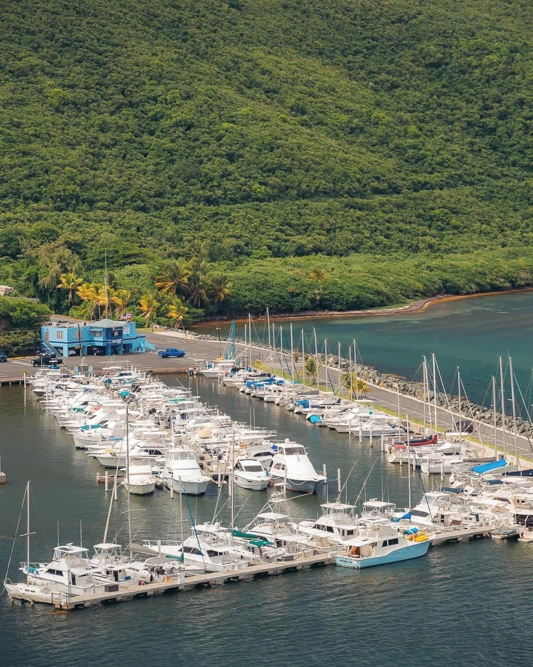 Un puerto deportivo con numerosas embarcaciones amarradas, rodeado de abundante vegetación y un pequeño edificio.