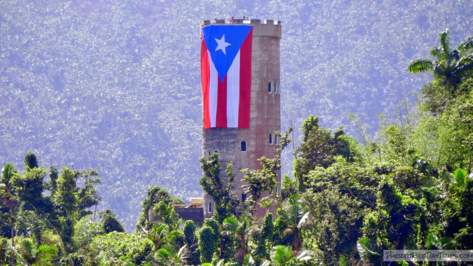 Una torre con una bandera, rodeada de exuberante vegetación.