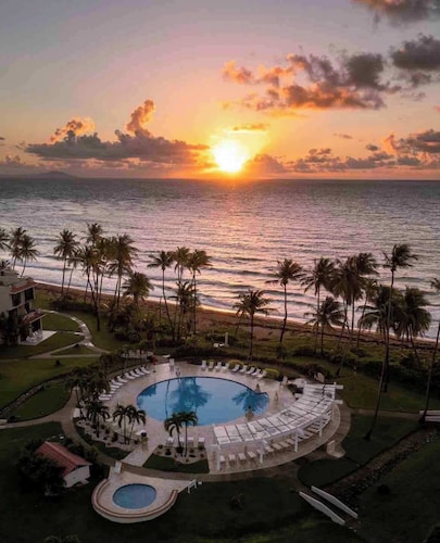 Selah Travelers Nesters in Palmas Del Mar