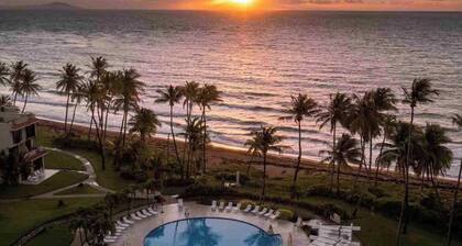 Selah Travelers Nesters in Palmas Del Mar