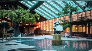 Eine Statue eines Waschbären, der einen Fächer in einem Poolbereich mit Glasdach und Zimmerpflanzen hält.