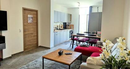 Apartment in Le Revard Near Ski Slopes