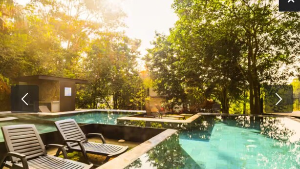 Un espace piscine avec des chaises longues et un petit bâtiment, le tout entouré d’arbres.