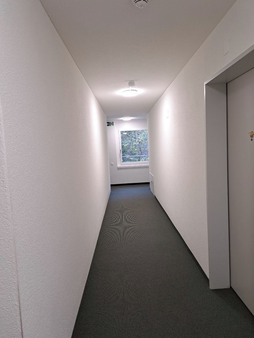 Ein schmaler Flur mit Teppichboden, weißen Wänden und einer Tür rechts.