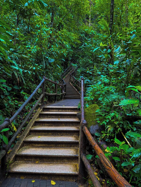 Hiking - Refugio Las Cortezas (La Fortuna)