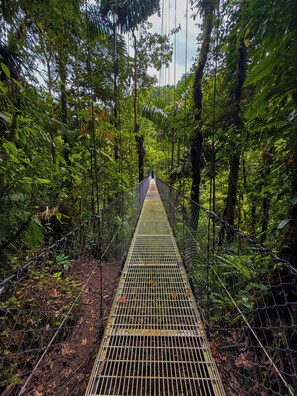 Hiking - Refugio Las Cortezas  (La Fortuna)