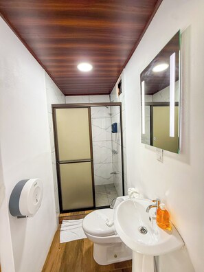 Dusche, Haartrockner, Handtücher, Seife