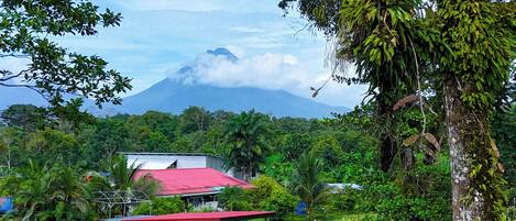 Land view from property