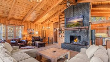 Smart TV, fireplace, books