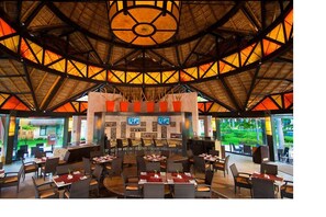 تناول الطعام