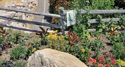 New 12 Bd+12 Bath+Comfortably Sleeps 24+Spas+Views+Hot Tubs+Fiber+Best Location!