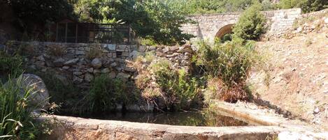 Jardines del alojamiento