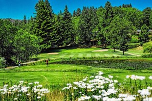 Golf - Great  3-bed 3-bath house Alta Sierra,  -Golf Course - Like Living in a Forest! (Grass Valley)