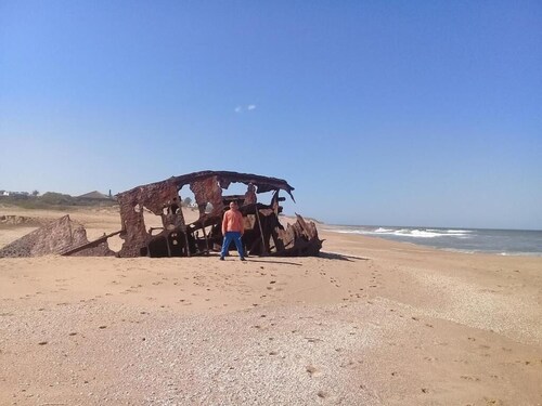 Rest and remote work on the beach (pet friendly)