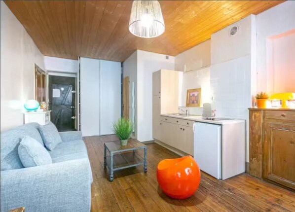 Living area - T2 apartment (Montpellier)