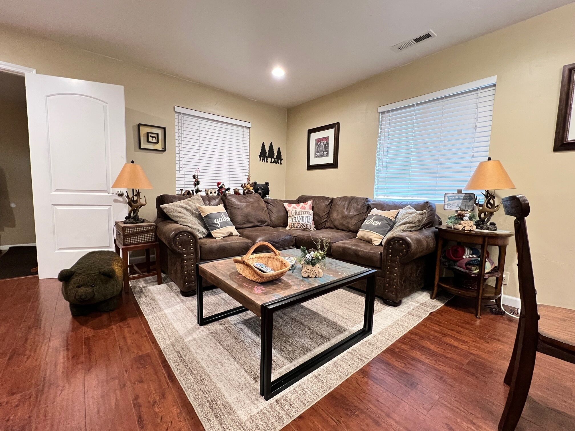 Smart TV, DVD player, video library, computer monitors